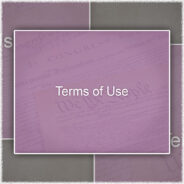 Terms and Conditions of Use